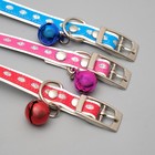 Ошейник из искусственной кожи с блестками, 32×1 см, микс цветов - Фото 6