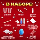 Набор для опытов «Драконьи опыты», 7 в 1 - фото 23314499