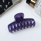 Крабик для волос «Лилиан», классика, 7 см, МИКС (комплект 12 шт) - фото 52595358 Крабик для волос «Лилиан», классика, 7 см, МИКС (комплект 12 шт) - фото 52595358