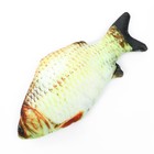 Игрушка "Рыба моей мечты!" с кошачьей мятой, 20 см - фото 7873878