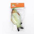 Игрушка "Рыба моей мечты!" с кошачьей мятой, 20 см - Фото 5