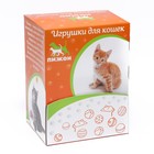 Шарик для кошек "Веселая семейка" с пластиковыми шариками внутри, 4,2 см, фасовка 40 шт 9071529 - фото 763768