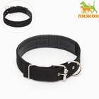 Ошейник «Комфорт» комбинированный, 70×4 см, ОШ 51-61 см, чёрный - Фото 2