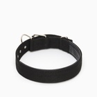 Ошейник «Комфорт» комбинированный, 70×4 см, ОШ 51-61 см, чёрный - Фото 3