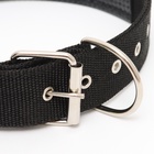 Ошейник «Комфорт» комбинированный, 70×4 см, ОШ 51-61 см, чёрный - Фото 4