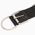 Ошейник «Комфорт» комбинированный, 70×4 см, ОШ 51-61 см, чёрный - Фото 7