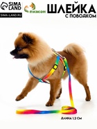 Комплект «Радуга», капрон, поводок 120×1 см, шлейка 24-34×1 см - Фото 1