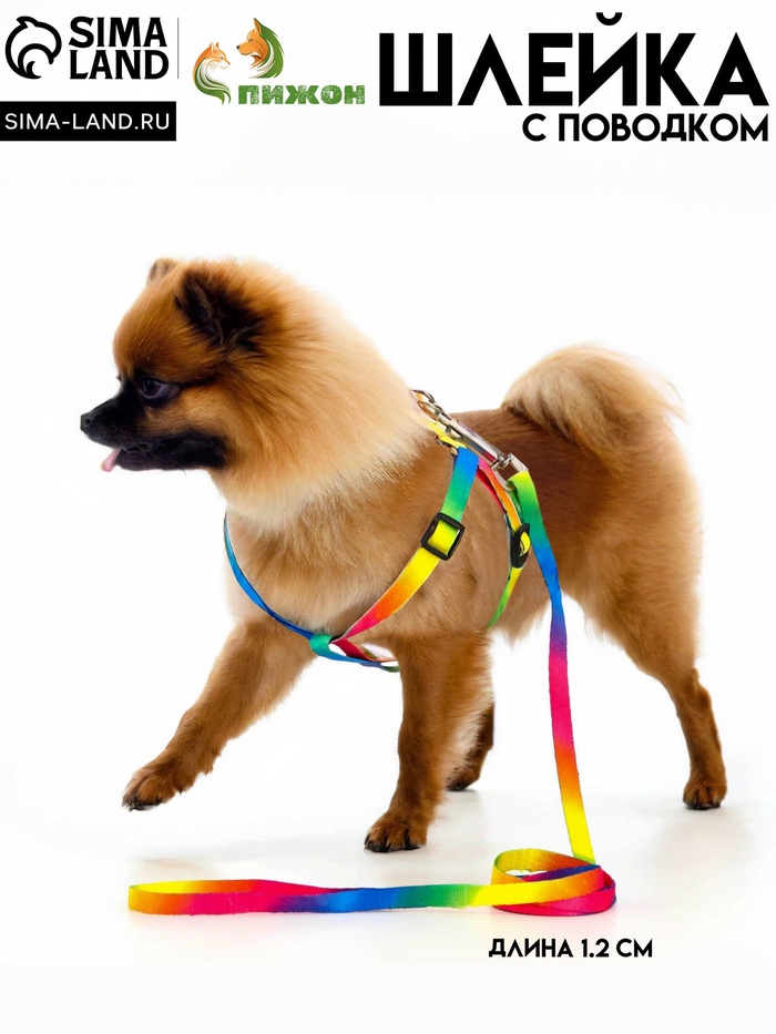 Комплект «Радуга», капрон, поводок 120×1 см, шлейка 24-34×1 см - Фото 1