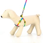 Комплект «Радуга», капрон, поводок 120×1 см, шлейка 24-34×1 см - Фото 2