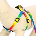 Комплект «Радуга», капрон, поводок 120×1 см, шлейка 24-34×1 см - Фото 3