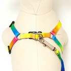 Комплект «Радуга», капрон, поводок 120×1 см, шлейка 24-34×1 см - Фото 4