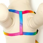 Комплект «Радуга», капрон, поводок 120×1 см, шлейка 24-34×1 см - Фото 5