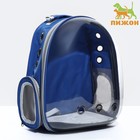 Рюкзак для переноски животных прозрачный, 31 х 28 х 42 см, синий - фото 296213238