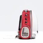 Рюкзак для переноски кошек и собак, прозрачный, 31 х 28 х 42 см, красный - фото 23259987