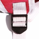 Рюкзак для переноски кошек и собак, прозрачный, 31 х 28 х 42 см, красный - Фото 11