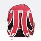 Рюкзак для переноски кошек и собак, прозрачный, 31 х 28 х 42 см, красный - Фото 3