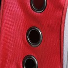 Рюкзак для переноски кошек и собак, прозрачный, 31 х 28 х 42 см, красный - фото 23259993