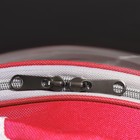 Рюкзак для переноски кошек и собак, прозрачный, 31 х 28 х 42 см, красный - фото 23259995