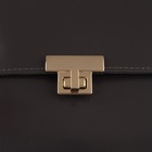 Застёжка для сумки, 3.9×2.6 см, цвет золотой - Фото 5