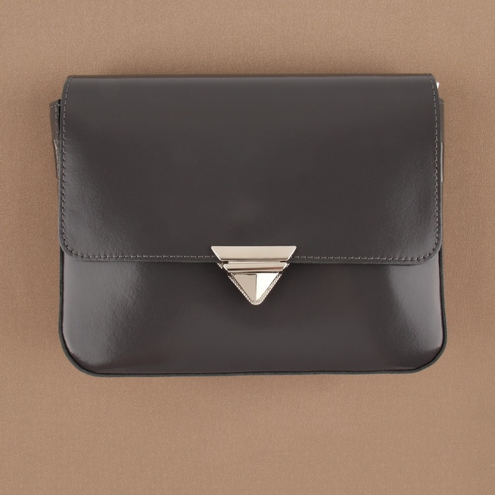 Застёжка для сумки, 4,5 × 2,9 см, цвет серебряный