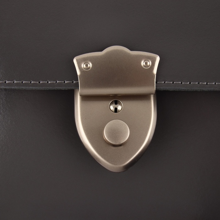 Застёжка для сумки, 3,8 × 5 см, цвет жемчужный серебряный
