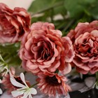 Букет "Роза многолепестковая" 5х27 см, микс - Фото 2