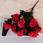 Букет искусственный «Ахименес Тереза», 5×33 см, МИКС - Фото 1