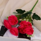 Букет "Роза Хлоя" 5х30 см, микс - Фото 1