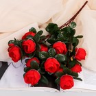 Букет искусственный «Пион Тереза», 3.5×32 см, МИКС - Фото 1