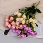 Букет "Роза Кешон" 33 см, микс - Фото 3