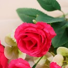 Букет "Роза Морлей" 6х27 см, микс - Фото 2