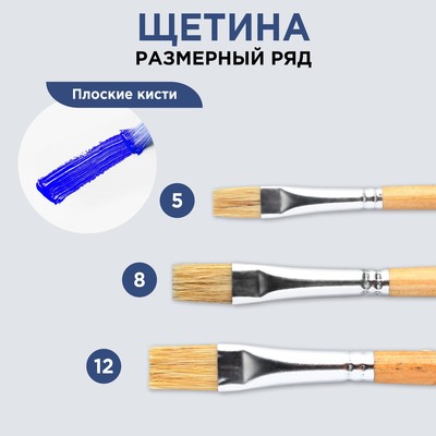 Кисть для рисования щетина плоская № 12 (ширина обоймы 12 мм; длина ворса 18 мм)