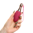 Вибратор для клитора и сосков, 10 режимов, USB, бордовый - Фото 3