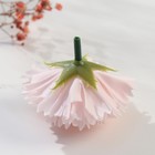 Мыльные лепестки для ванны «Бутон гвоздики. Нежно-розовый», подарочный, 6?6?5 см (комплект 50 шт) - фото 33070345