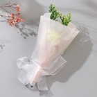 Мини-букет из мыльных лепестков для ванны «Зелёная гвоздика с зеленью», подарочный, 13 см - Фото 3