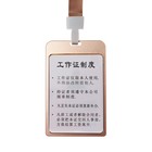 Бейдж - карман вертикальный, внешний размер 120×75 мм, внутренний размер 100×69 мм, металл, золото, на ленте 40 см - Фото 3