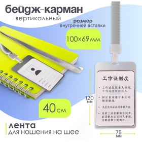 Бейдж-карман вертикальный (внешний 120 х 75мм), внутренний 100 х 69мм, металл, серебро, лента 40 см 9849206