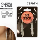 Серьги «Не беси», 6 х 9 см - Фото 1