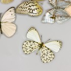 Наклейки PVC "Пятнистые бабочки" набор 40 шт 8х7 см - Фото 2