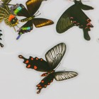 Наклейки PVC "Ретро бабочки" набор 40 шт 8х7 см - фото 23291206