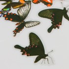 Наклейки PVC "Ретро бабочки" набор 40 шт 8х7 см - фото 23291207