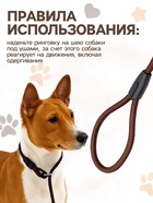 Ринговка для собак, 130×0.8 см, коричневая - Фото 3