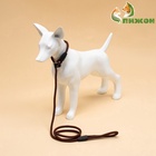 Ринговка для собак, 130×0.8 см, коричневая - Фото 4