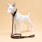 Ринговка для собак, 130×0.8 см, коричневая - Фото 7