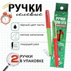 Ручка гелевая «Ручки для ЕГЭ заряжены на удачу» 2 шт, чёрная паста - фото 23207372