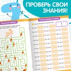 Книга «Многоразовый тренажёр. Сложение в пределах 100» - Фото 5