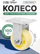Колесо для транспортных тележек, d=100, на площадке покрытие PP - фото 53722139