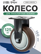 Колесо для транспортных тележек ТУНДРА, d=150 мм, на пдощадке, покрытие TPR - фото 809175573