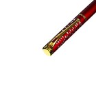 Ручка подарочная шариковая в пластиковом футляре Calligrata "Френсис", поворотная, корпус бордово-золотистый - фото 7877672