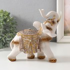 Сувенир полистоун "Белый слон в попоне с золотом" МИКС 16,5х8х17,5 см - Фото 5